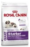 Сухой корм для щенков Royal Canin Giant Starter